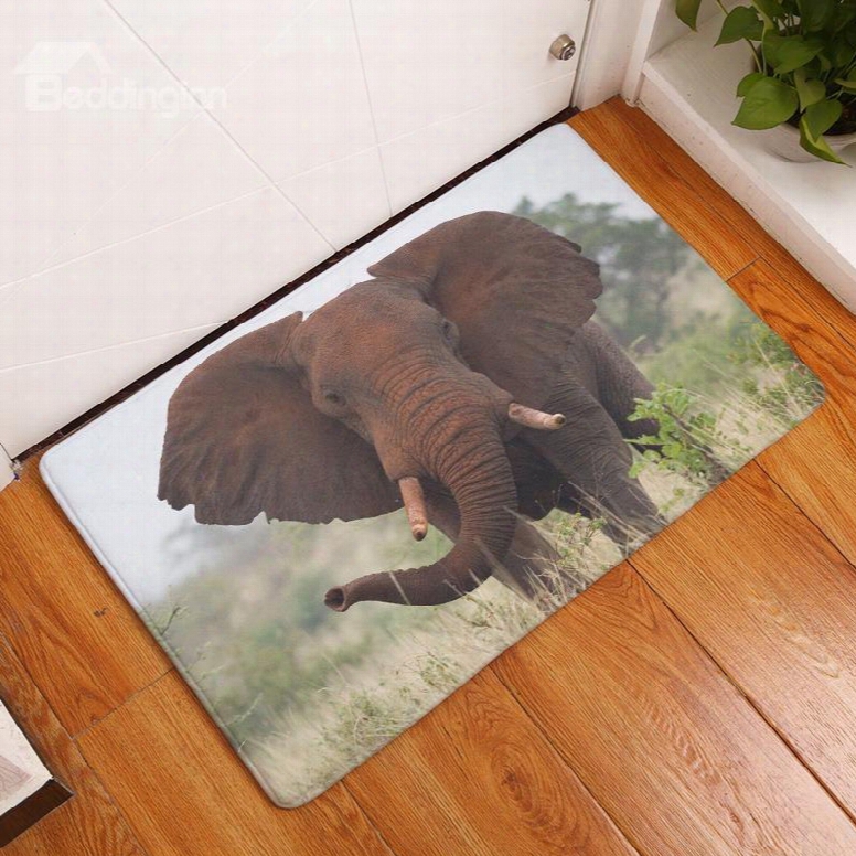 16␔24in Brown Elephant In Field Flannel Water Absorption Soft And Nonslip Bath Rug/mat