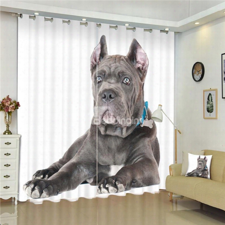 3d Big Italian Dog Printed Animal Scenery 2 Pieces Decorative And Blackout Custom Curtain