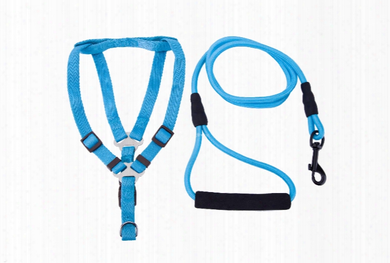 Adjustable Shoulder Straps Pet Lead Leash Protective Walking Training