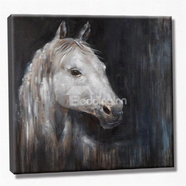 Black Background With White Horse Pattern None Framed Oil Painting
