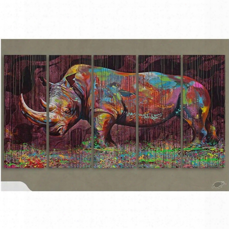 Colorful Rhinoceros Oil Painting Pattern Hanging 5-piece Canvas Eco-friendly And Waterproof Non-framed Prints