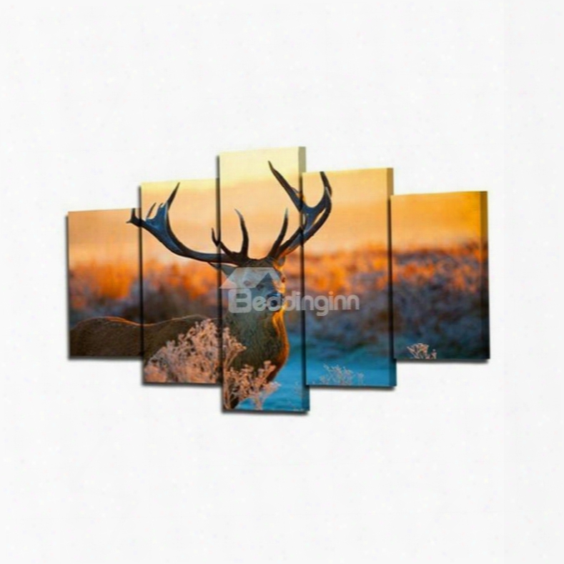 Deer In Sunset Hanging 5-piece Canvas Eco-friendly And Waterproof Non-framed Prints