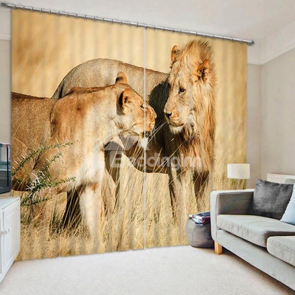 Mother Of Lion And Her Baby 3d Vivid And Creative Decorative And Blackout Curtain