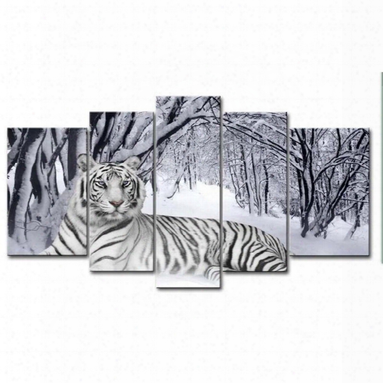 Tiger Lying On Snow Grojnd Hanging 5-piece Canvas Eco-friendly And Waterproof Non-framed Prints