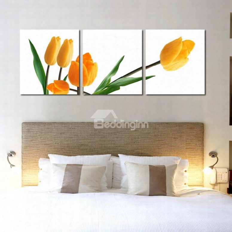 Beautiful Tulip Flowers Pattern Design 3 Pieces Framed Wall Art Prints