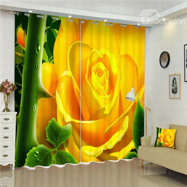 Charming And Golden Roses 3d Blackout And Decorative 2 Panels Bedroom Curtain