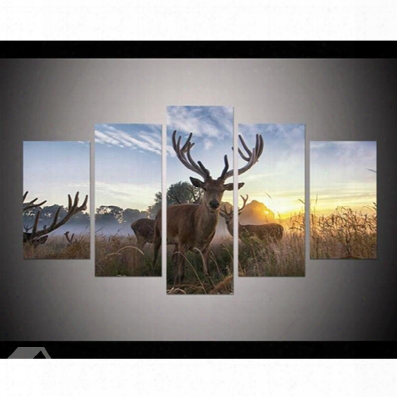 Deer In Sunrise Hanging 5-piece Canvas Eco-friendly And Waterproof Non-framed Prints