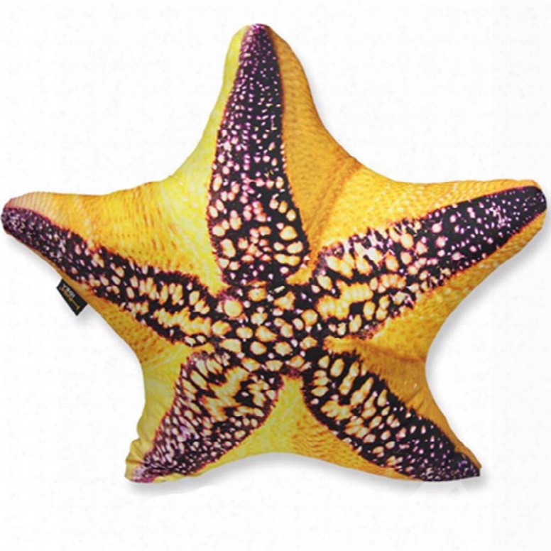 Stylish 3d Starfish Shaped Decorative Cast Pillow
