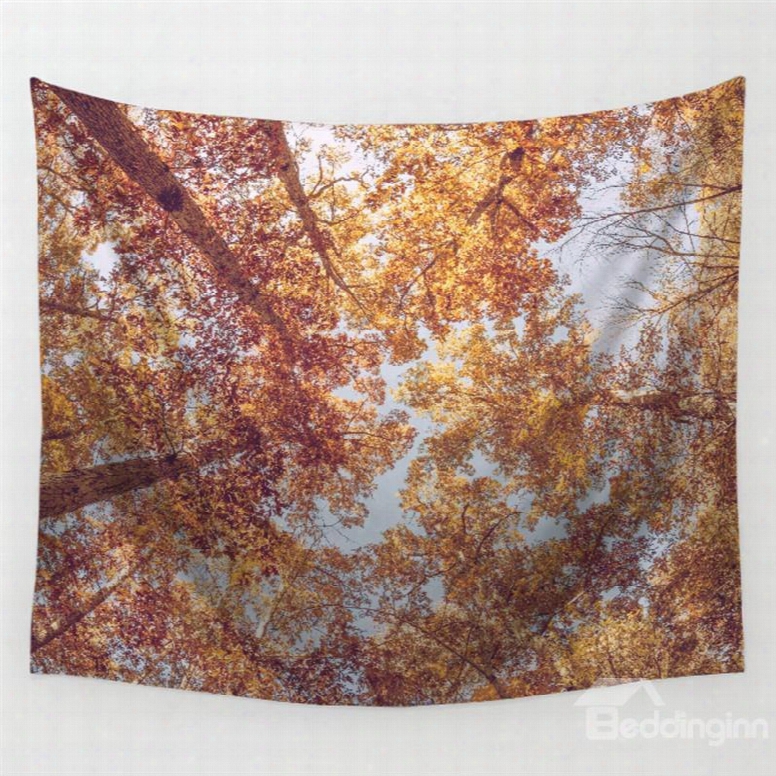 Thick Redwoods And Sky Pattern Decorative Hanging Wall Tapestry