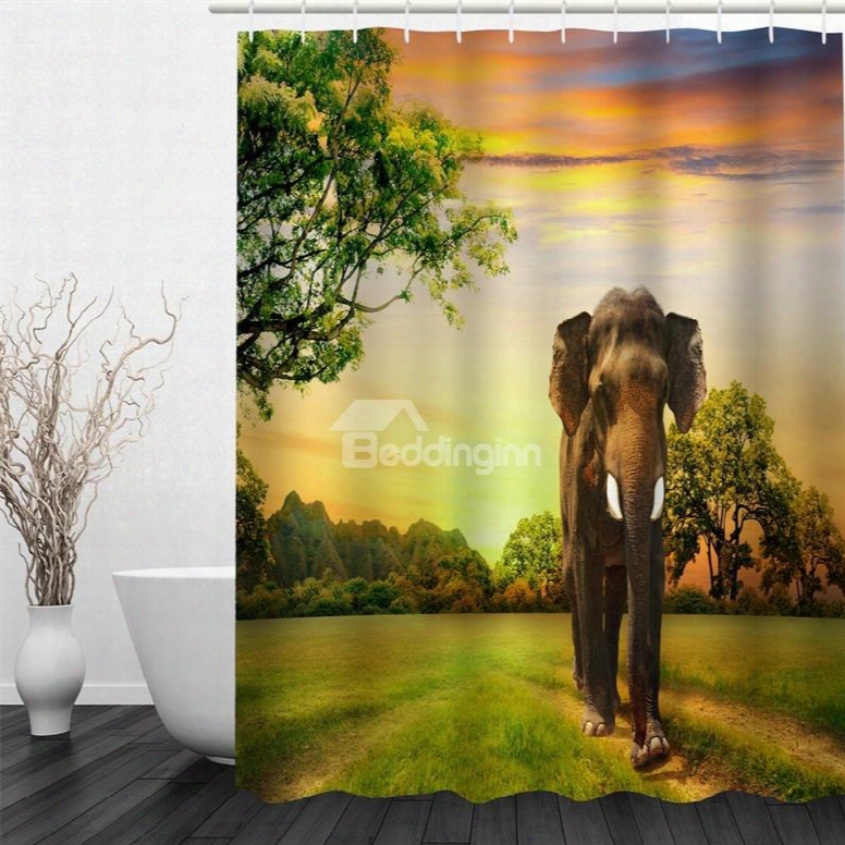 3d Elephant Standing On Green Lawn Polyester Waterproof And Eco-friendly Shower Curtain