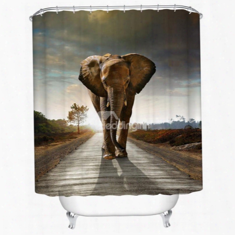 3d Mouldproof Elephant In The Woooden Path Printed Polyester Bathroom Shower Curtain