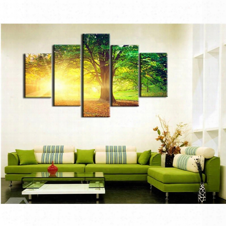 Golden Sunshine And Green Trees 5-piece Canvas Non-framed Wall Prints