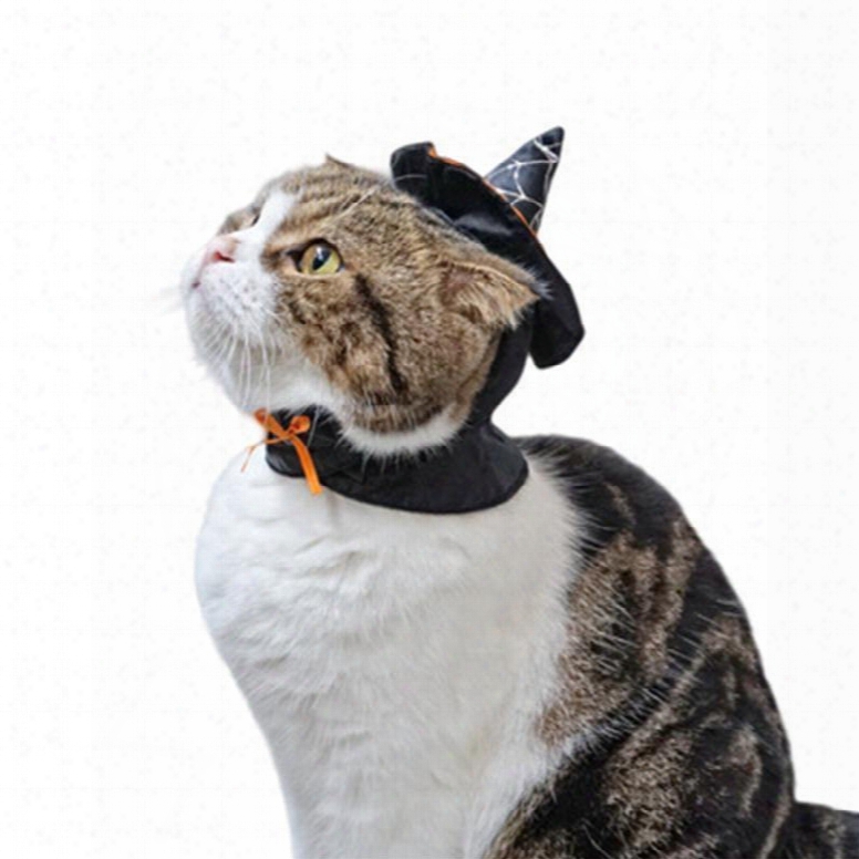 Halloween Costume Cat Teddy Dog Collar Witch Hat Black