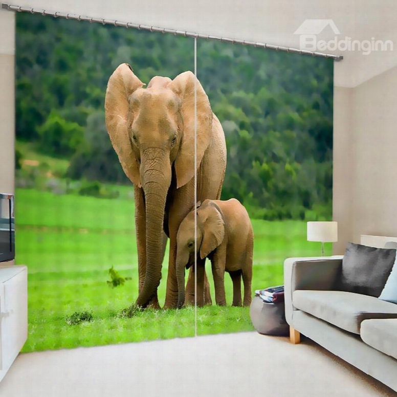 Little Elephant With Its Mom Water-proof And Dust-proof 3d Polyester Curtain