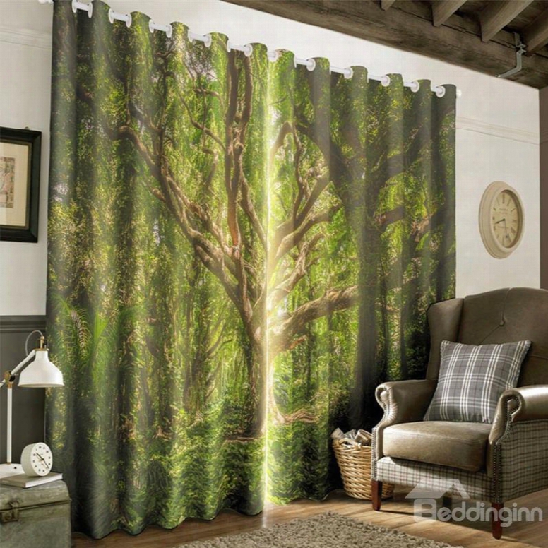 3d Old Trees In Thick Forest Printed Summer Scenery 2 Panels Custom Window Drape