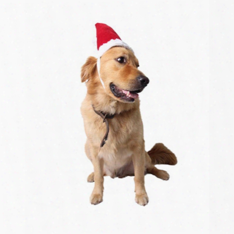 Christmas Santa Hat Adorable New Year Gift Puppy Dog Red