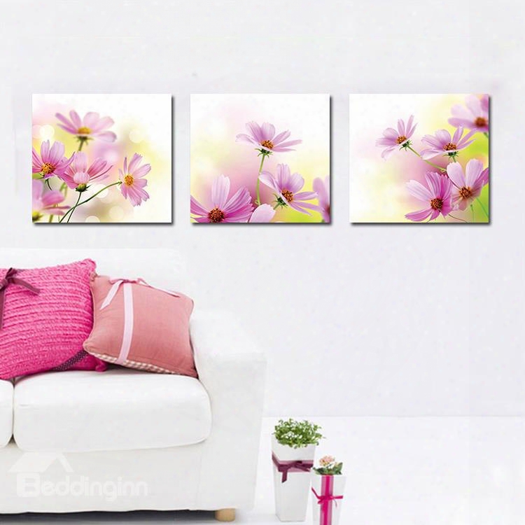 Adorable Pretty  Daisy Film Art Wall Prints