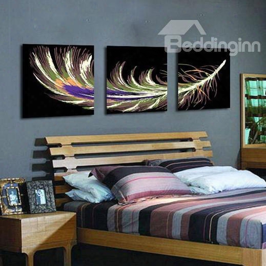 Beautiful Feather Pattern 3-panel Canvas Framed Wall Art Prints
