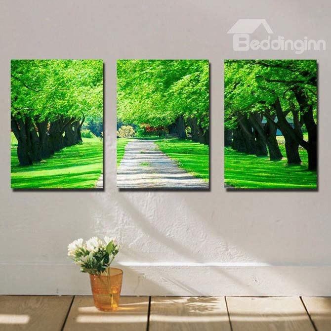 Beautiful Green Trees Along The Road Canvas Wall Prints