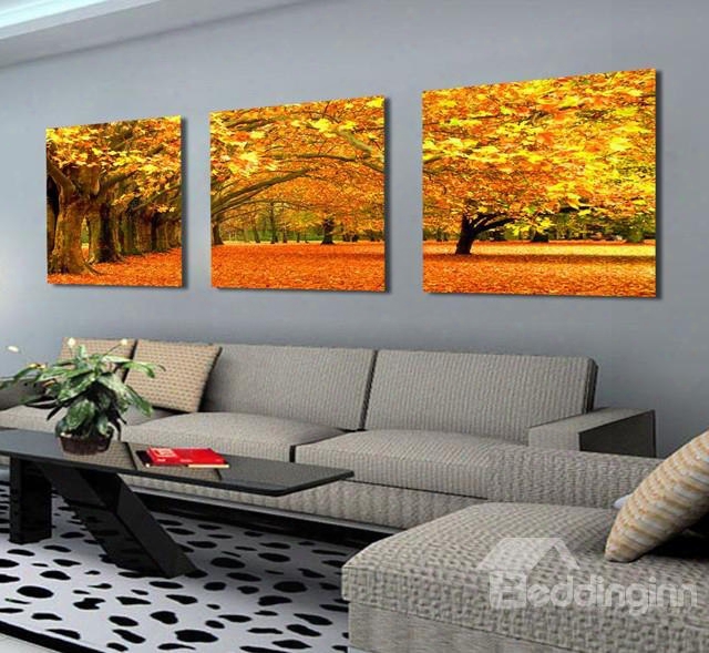 Gorgeous Trees And Leaves Fallling On Ground Canvas Wall Art Prints