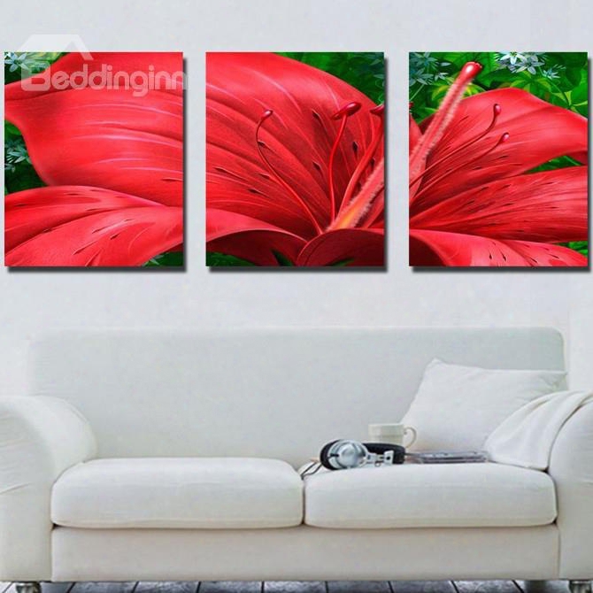 New Arrival Beautiful Red Amaryllis Canvas Wall Prints