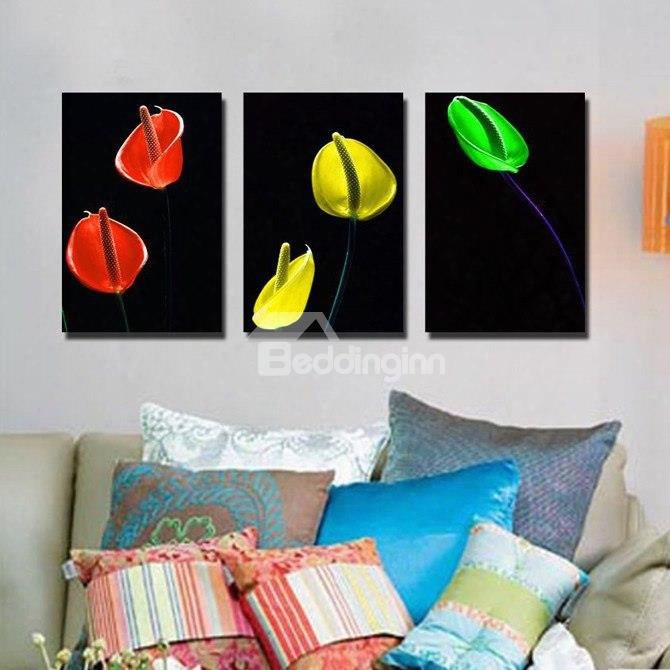 New Arrival Colorfull Flower Canvas Wall Prings