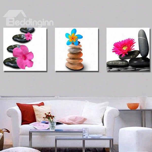 New Arrival Colorful Flowers On Stone Canvas Wall Prints