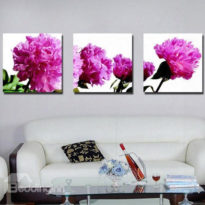 New Arrival Delicate Carnation Canvas Wall Prints