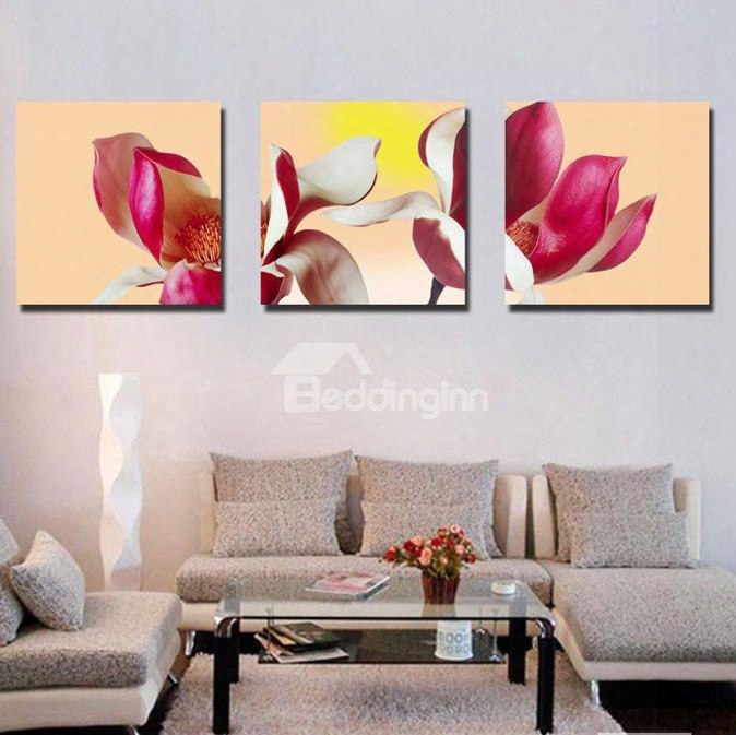 New Arrival Delicate Petals Canvas Wall Prints