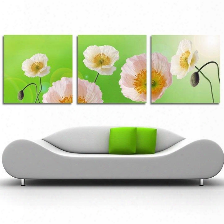 New Arrival Pink Gorgeous Flowers Cross Film Wall Art Prints