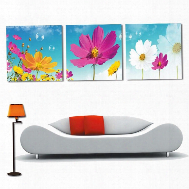 New Arrival White Yellow Peach Flowers Under Sunshine Film Wall Art Prints