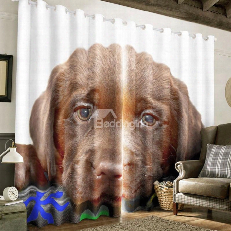 3d Brown Dog Printed Custom Blackout Curtain For Living Room And Bedroom