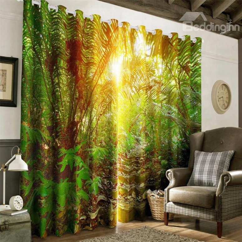 3d Lush Conifers And Golden Sunlight Printed 2 Panels Grommet Top Custom Curtain