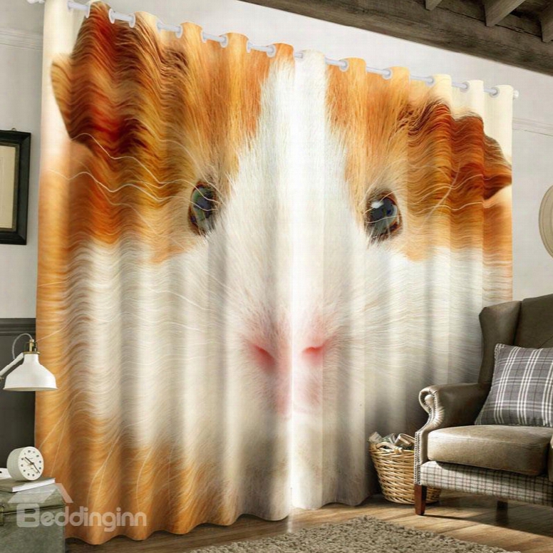 3d Cute Hamster Printed Polyester Custom Curtain For Living Room