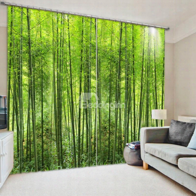 3d Green Bamboos Forest Printed Thick Polyester 2 Panels Custom Living Room Curtain