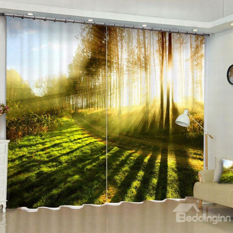 3d Green Fields And Bright Sunlight Printed 2 Panels Grommet Top Curtain