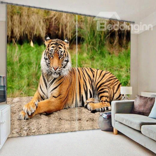 3d Vivid Ferocious Tiger Printed Thick Polyester Cotton 2 Panels Blackout Creative Curtain