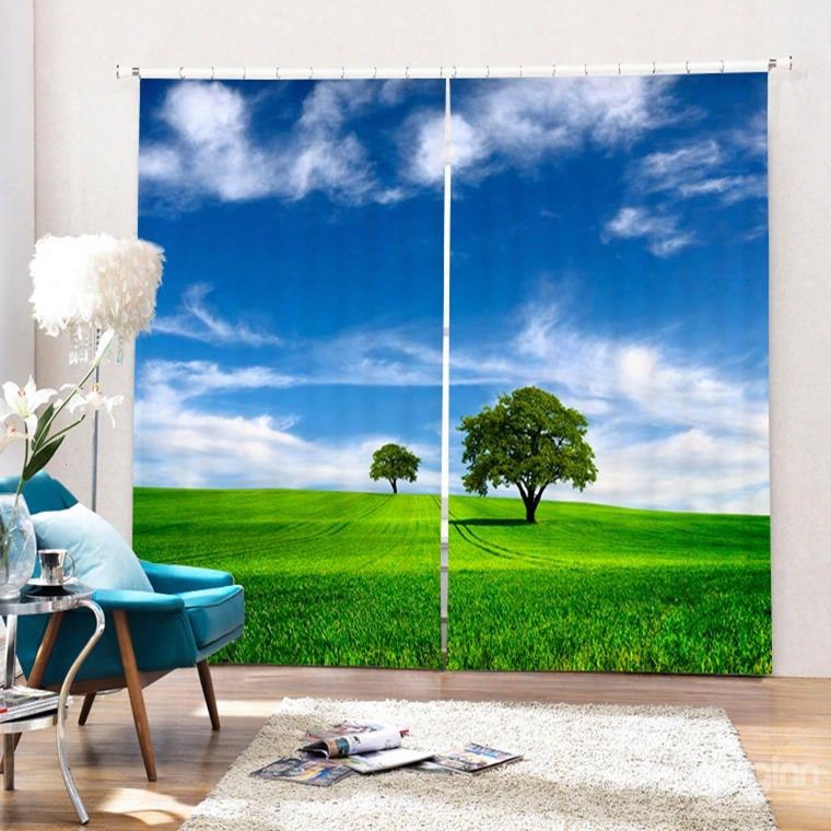 A Tree In Blue Sky And Green Grass Printing 3d Curtain