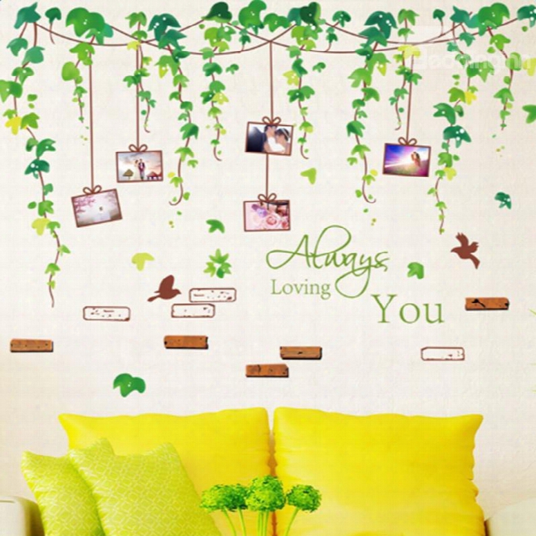Green Leaves 5 Photo Frames Waterproof And Environmental Wall Stickers