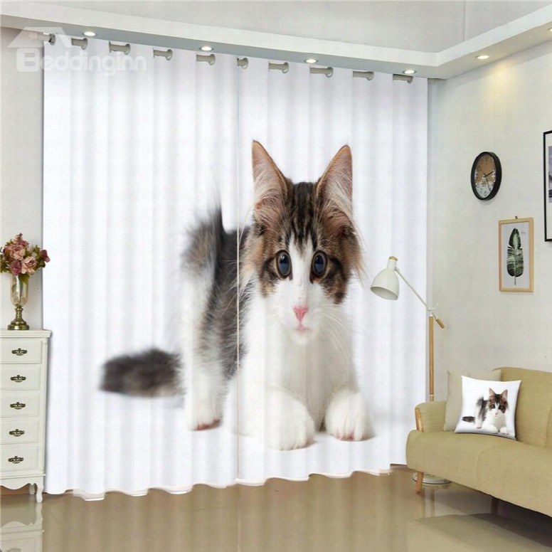 Lovely Lying Cat Thick Polyester Living Room And Bedroom Dust-proof And Shading Custom Curtain