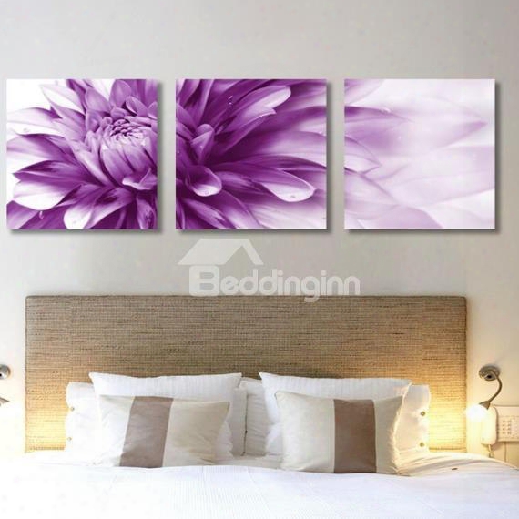 New Arrival Beautiful Purple Chrysanthemum Print 3-piece Cross Film Wall Art Prints