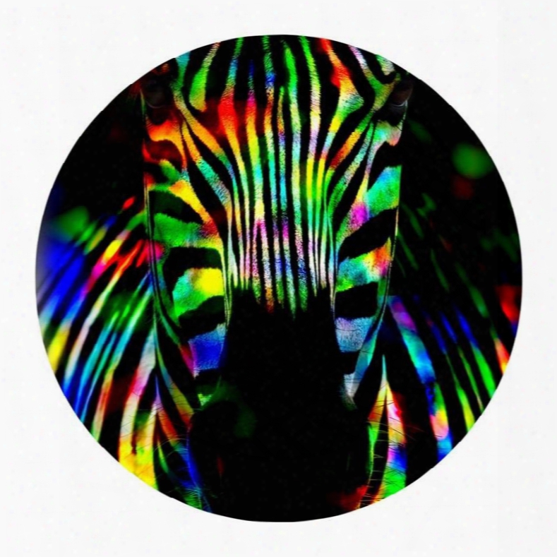 Zebra Head Pvc Modern Colorful Nonslip And Water Absorption Round Doormat