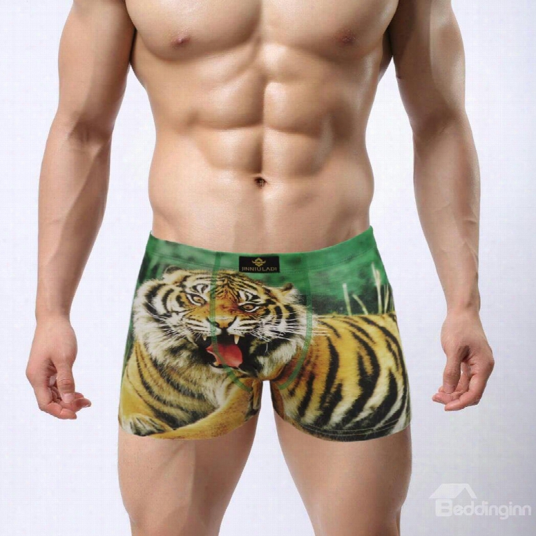 Fiercely Tiger Pattern 3d Print Craft Creative Popular Man's Briefs