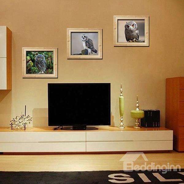 Natural Wise Owl 3-panel Photo Frame Style Removable Wall Sticker