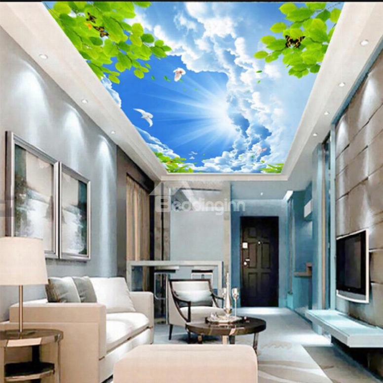 3d Blue Sky Pvc Waterproof Sturdy Eco-friendly Self-adhesvie Ceiling Murals