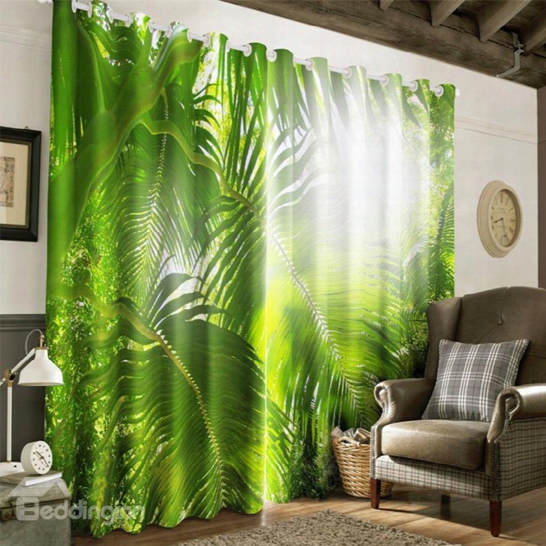 3d Green Plantain Leaves And Strong Sunlight Printed Subtropical Plants Window Drapes