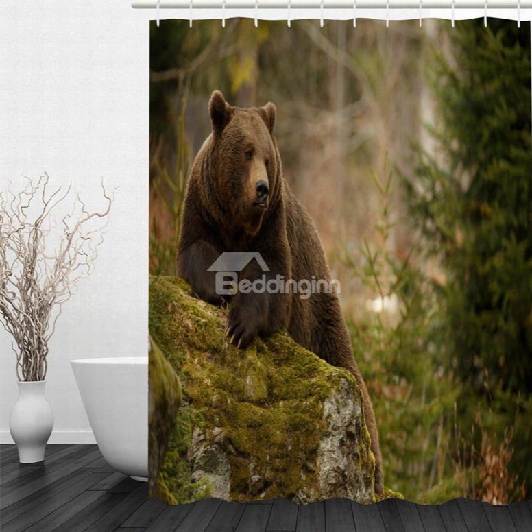 Bear Pattern Polyestwr Waterproof And Eco-friendly 3d Shower Curtain