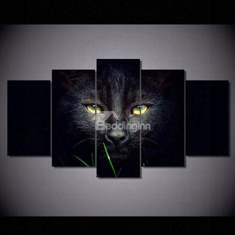 Black Cat Eyes Hanging 5-piece Canvas Eco-friendly And Waterproof Non-framed Prints