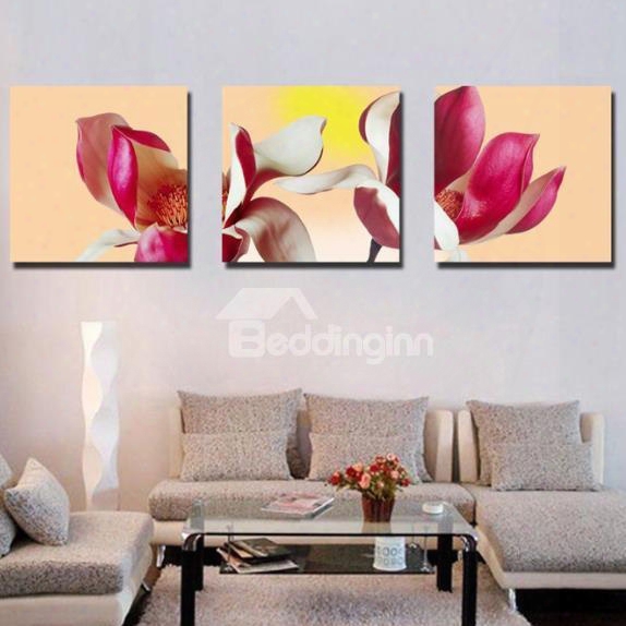 New Arrival Lovely Red Petals And Stamen Rpint 3-piece Cross Film Wall Art Prints