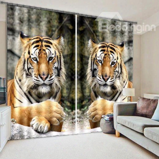 3d Cute Tigers Lying On The Stone Printed Animal Style Custom Curtain For Living Room